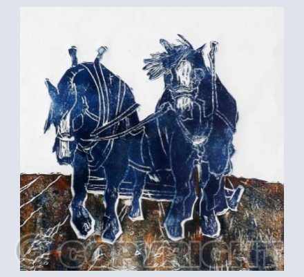 Shire Horses