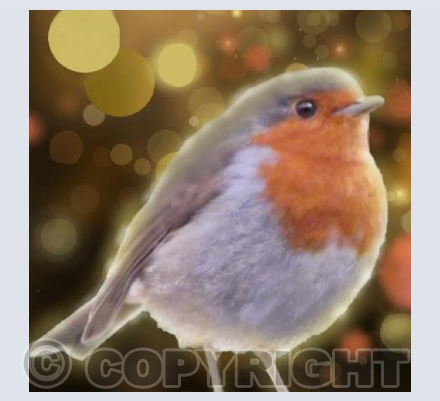 Robin gold