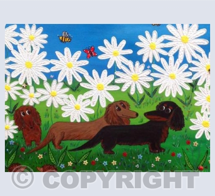 Dachshunds & Daisies