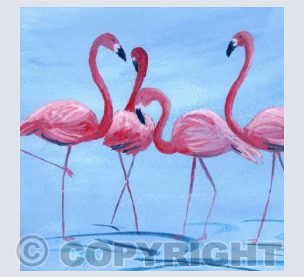 Flamingo Blue