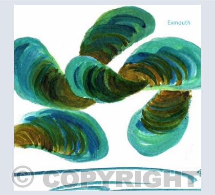 Green Lip Mussels E1