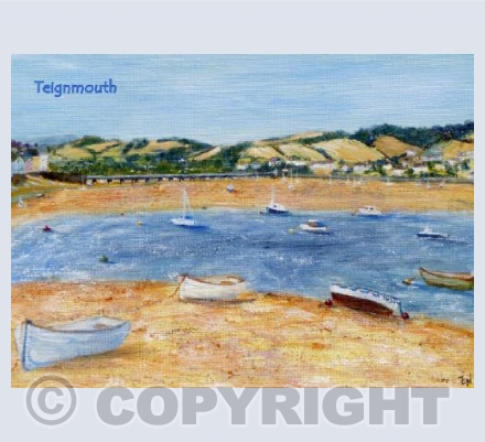 Teignmouth Valley