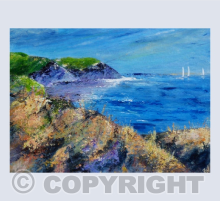 Devon Headlands