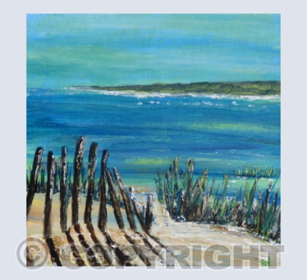 Beach Fences