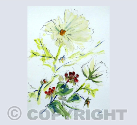 Cosmos
