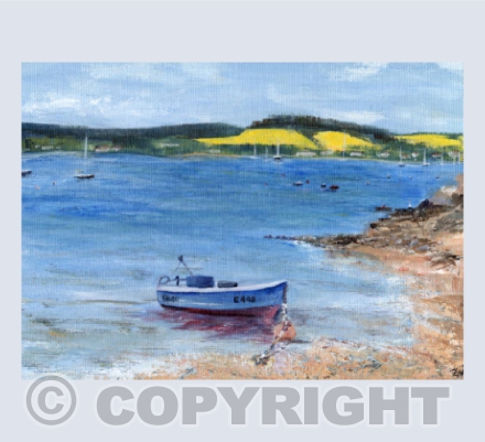 Summerfields along the River Exe