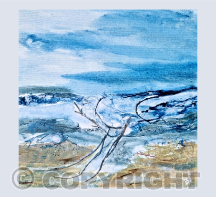 Sea Tides
