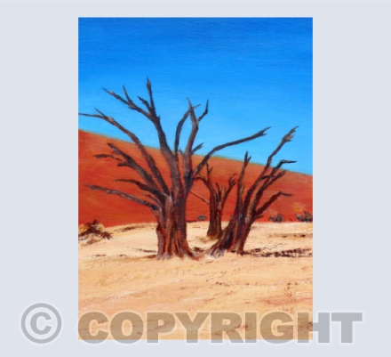 Namibia #1