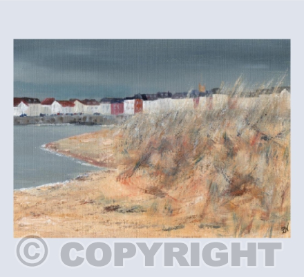 Exmouth from Dawlish Warren