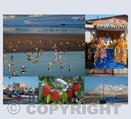 Moroccan Moments One