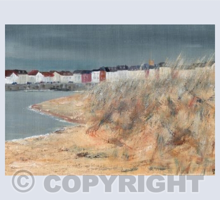 Exmouth from Dawlish Warren
