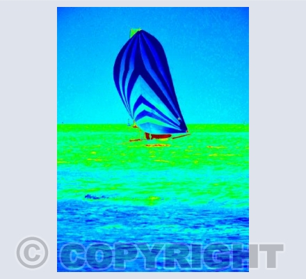 International 14s #6