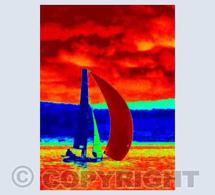 International 14s #3