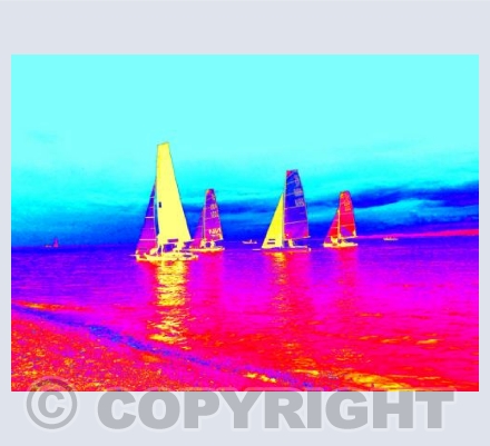 International 14s #5