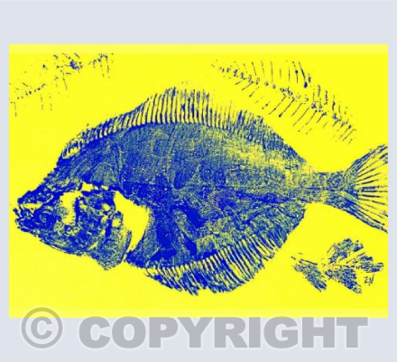 Fishes Yellow