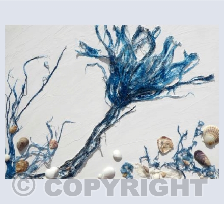 Underwater World #1