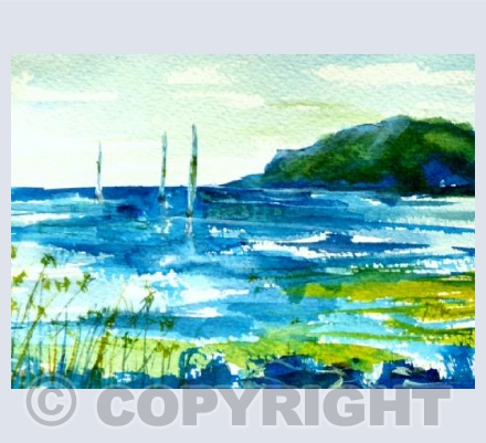 Devon Coast