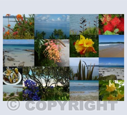 Cable Bay & North, New Zealand