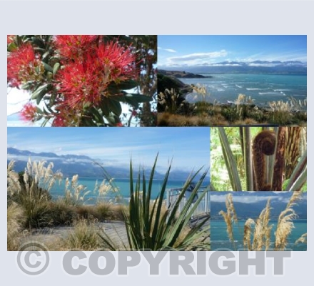 Kaikoura, New Zealand