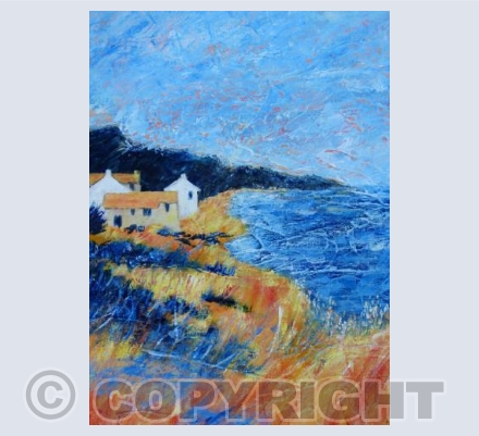 Coastal Fields