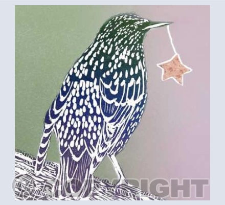 Starling