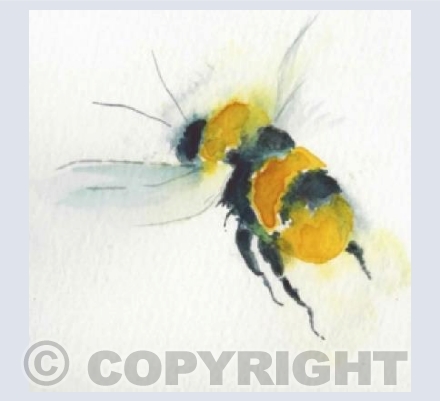 Bumble bee