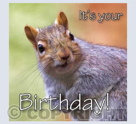 Birthday Squirrel