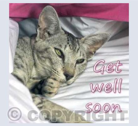 Get Well Soon