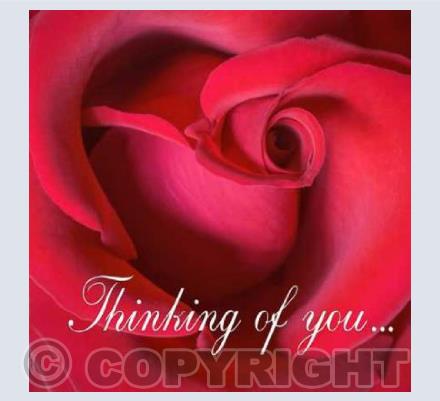 Thinking of You