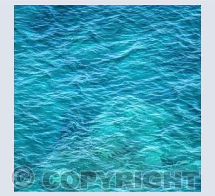 The Deep Blue Sea