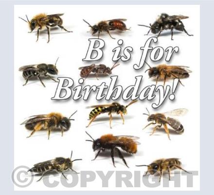 Bee Birthday