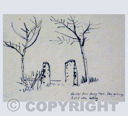 'Raindrops on Cherry trees..'