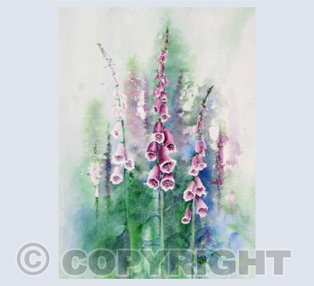 Foxgloves