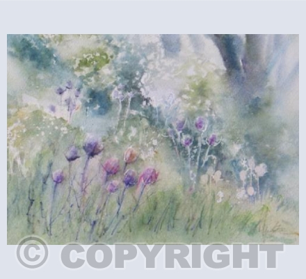 A Quiet Corner
