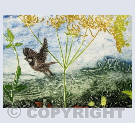 Flying Sparrow