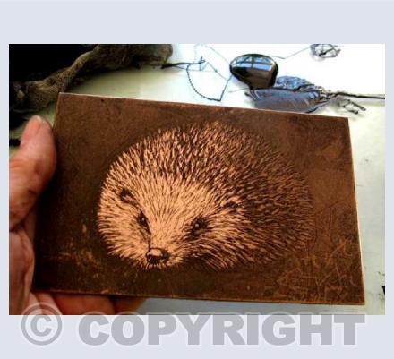 Hedgehog Copper Plate