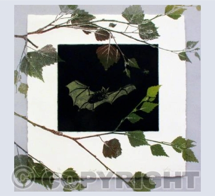 Greater Horseshoe Bat