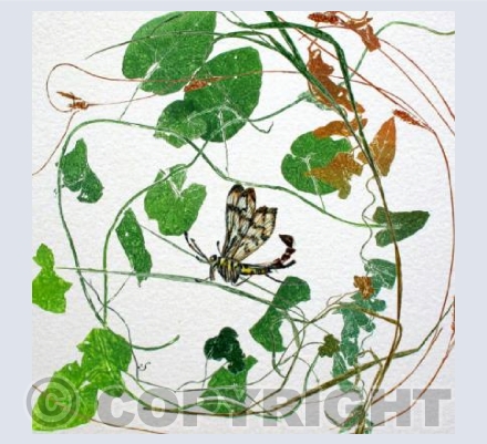 Scorpion Fly