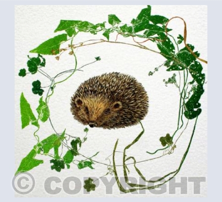 Hedgehog in the Bindweed