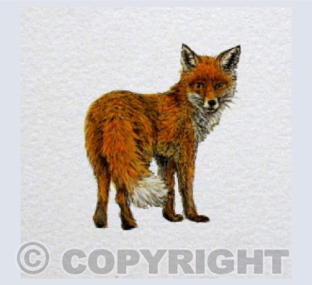 Fox