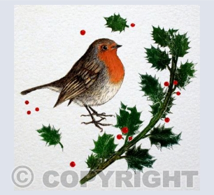Robin with Holly