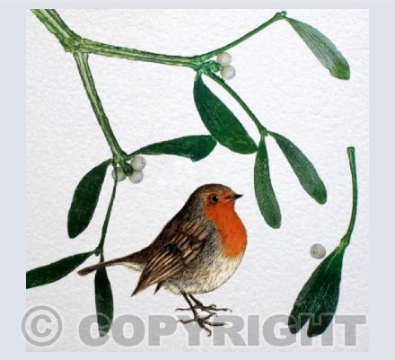 Robin with Mistletoe