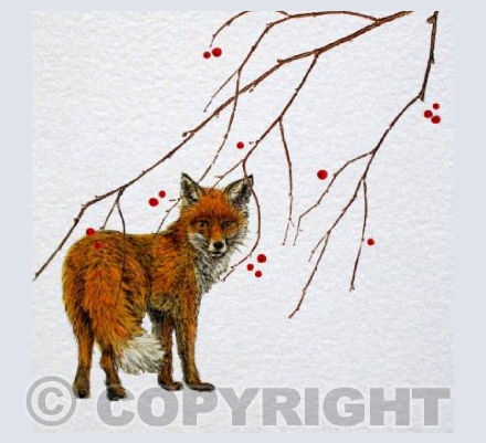 Winter Fox