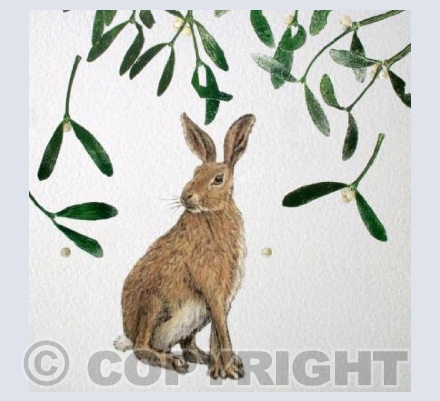 Mistletoe Hare