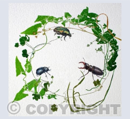 Trio of Bugs
