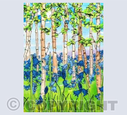 Bluebells
