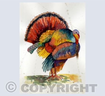 Not just for Christmas