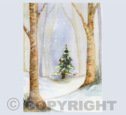 Christmas in the Woods