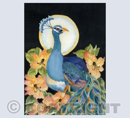 Peacock