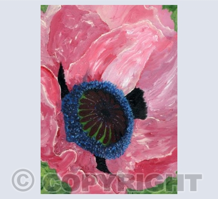 Full on Poppy